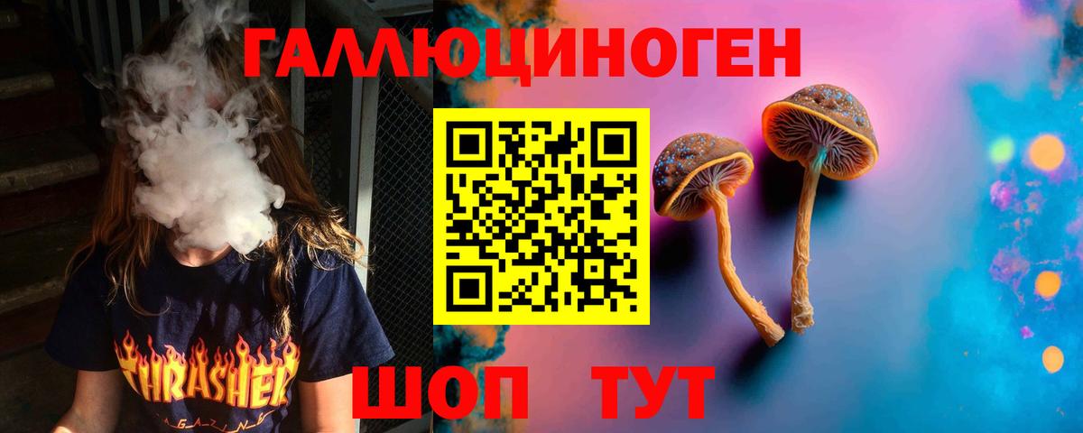 Галлюциногенные грибы Psilocybine cubensis Лысьва